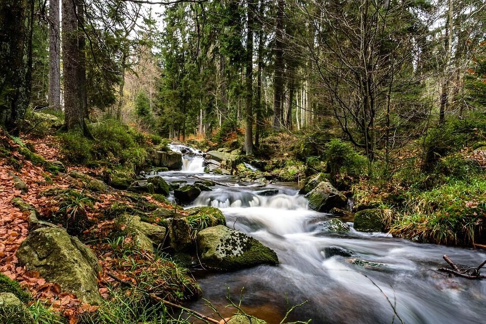 Imatge pels mitjans: Junta Consultiva de la Reserva Nacional de Caça de l'Alt Pallars-Aran