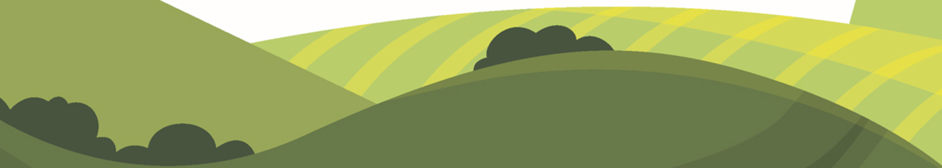 Captura de #p...06-03 163333.png